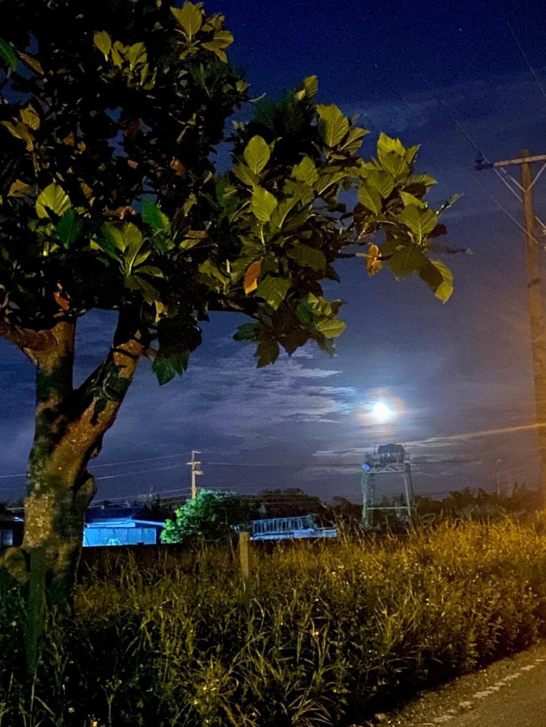 娜吉玛民宿 吉安 外观 照片